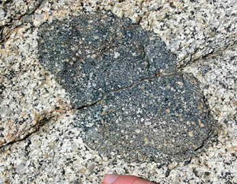 Xenolith Gabbroic xenolith in a granite; eastern Sierra Nevada, Rock Creek Canyon, California